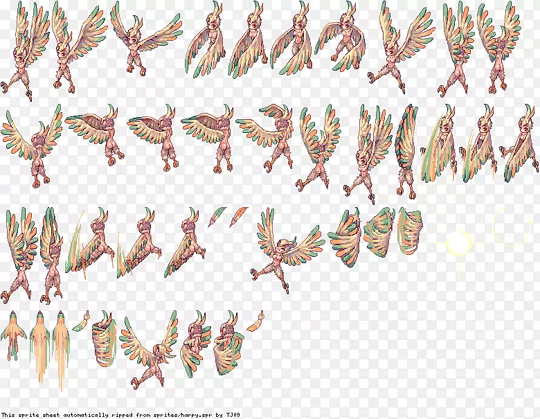 ���洫�۶���-������