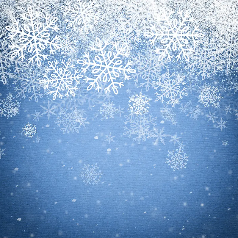 ѩ��ƮƮ���Ʊ���-������