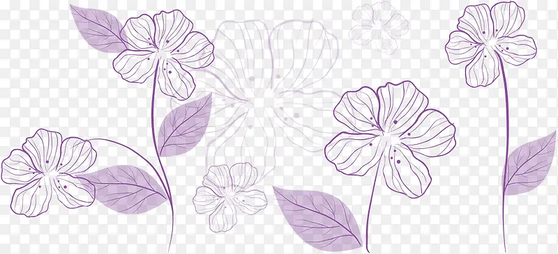 ��ɫ��͸�����⻨��-������