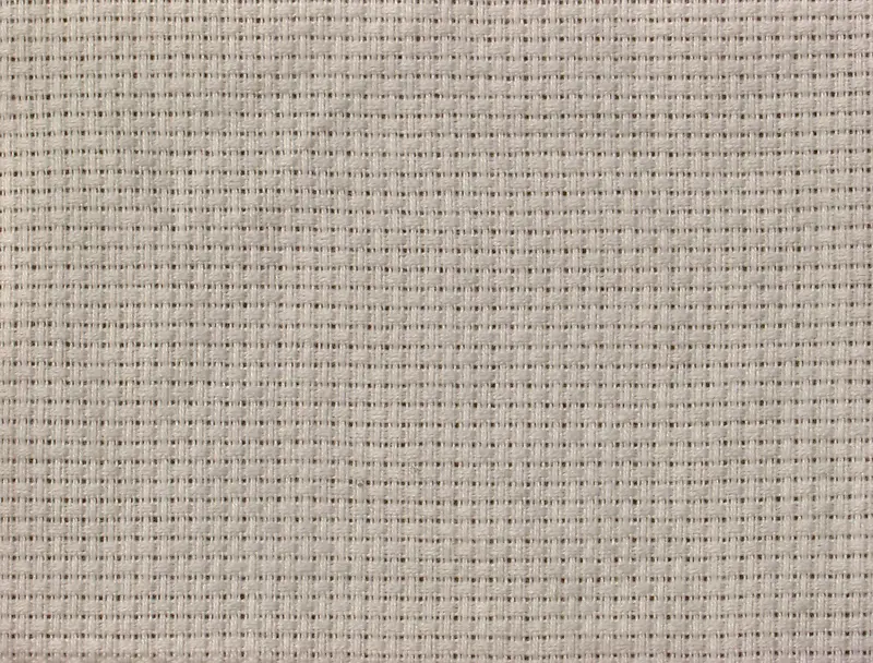 ���Ʊ�������-������