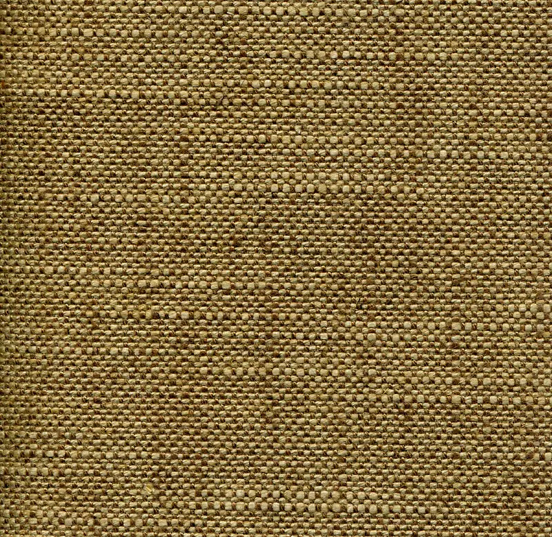 �鲼��������-������