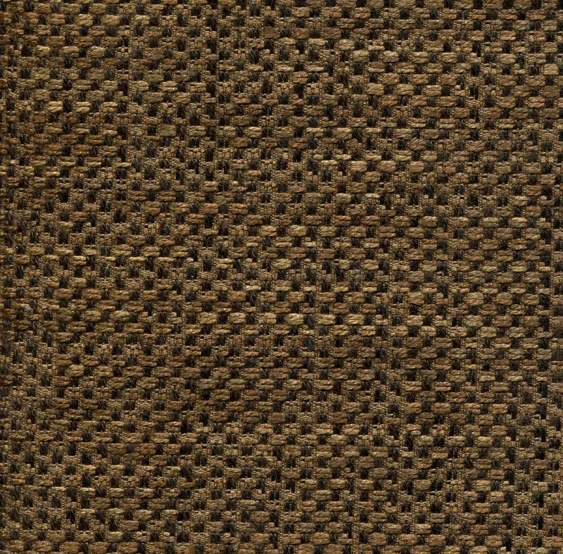 �鲼��������-������