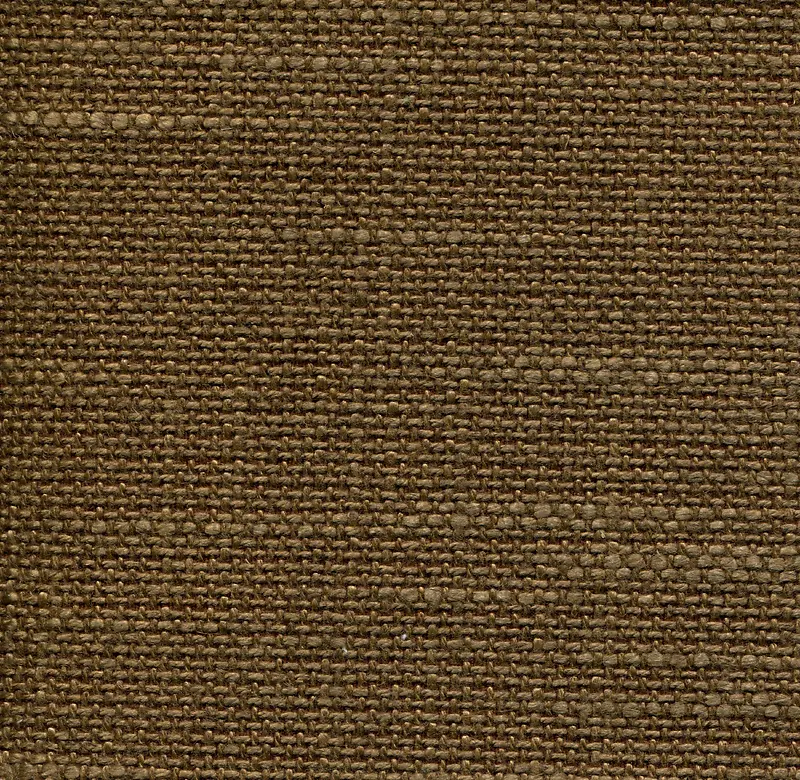 �鲼�ֲ�����-������