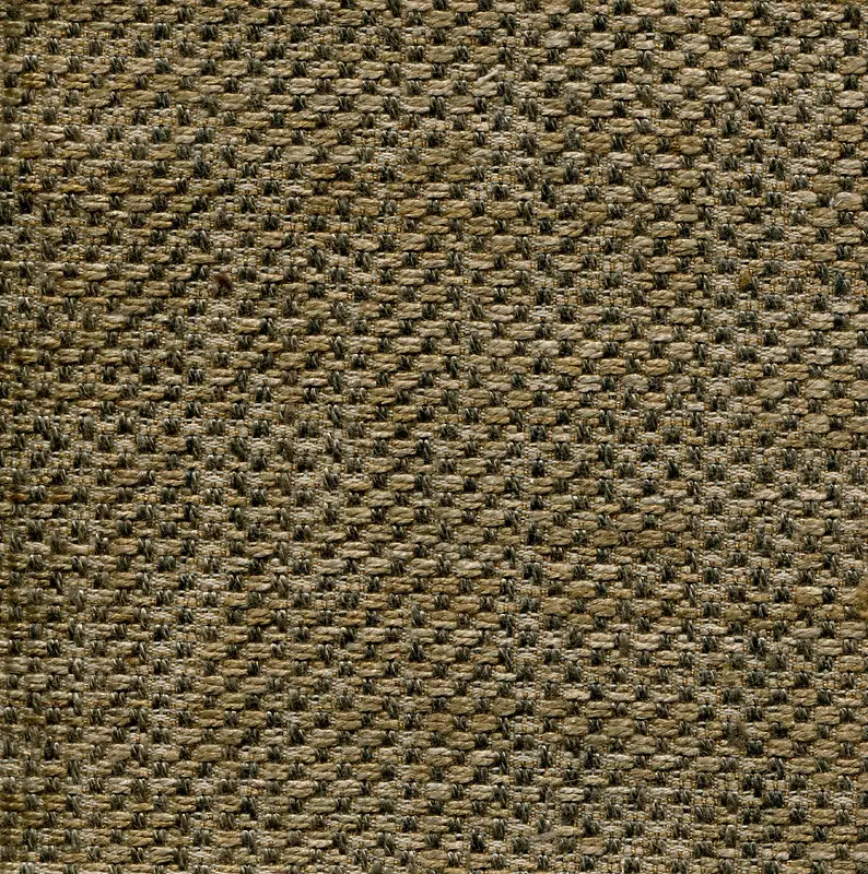 �鲼��������-������