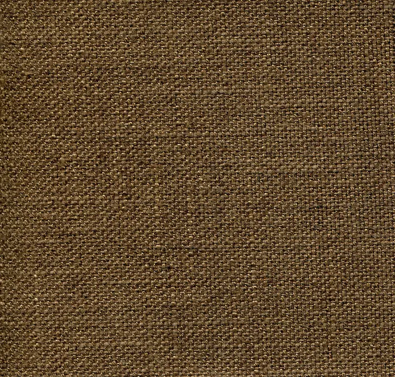 �鲼���ϱ���-������