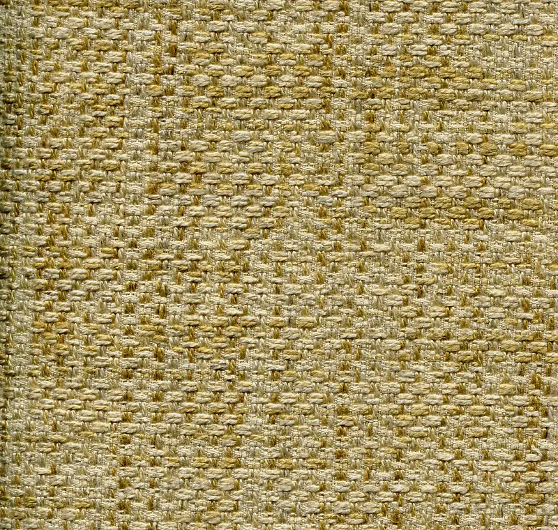 �鲼���ϱ���-������