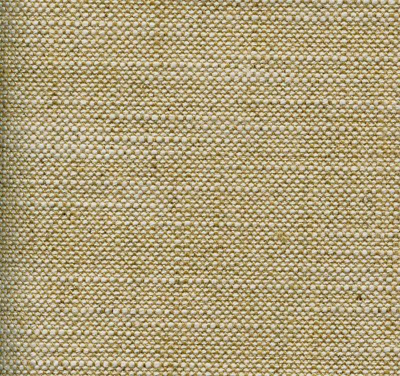 �鲼��������-������