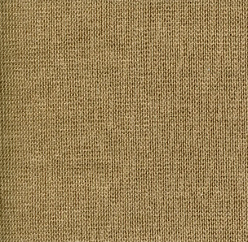 �鲼��������-������