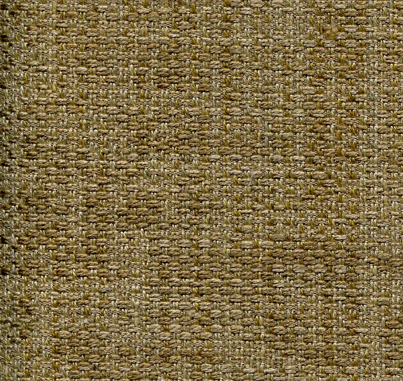 �鲼���ϱ���-������