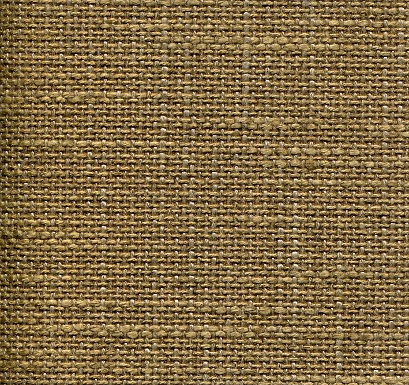 �鲼������������-������