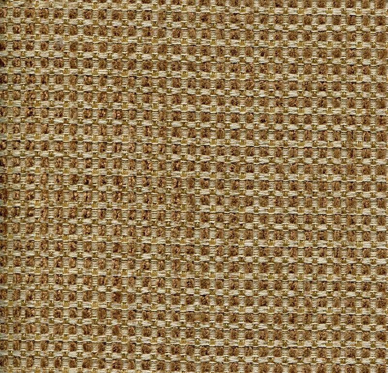 �鲼��������-������