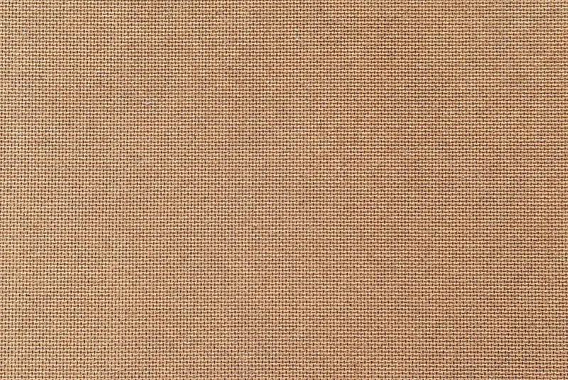 �鲼��������-������