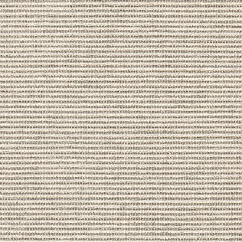 �鲼��������-������