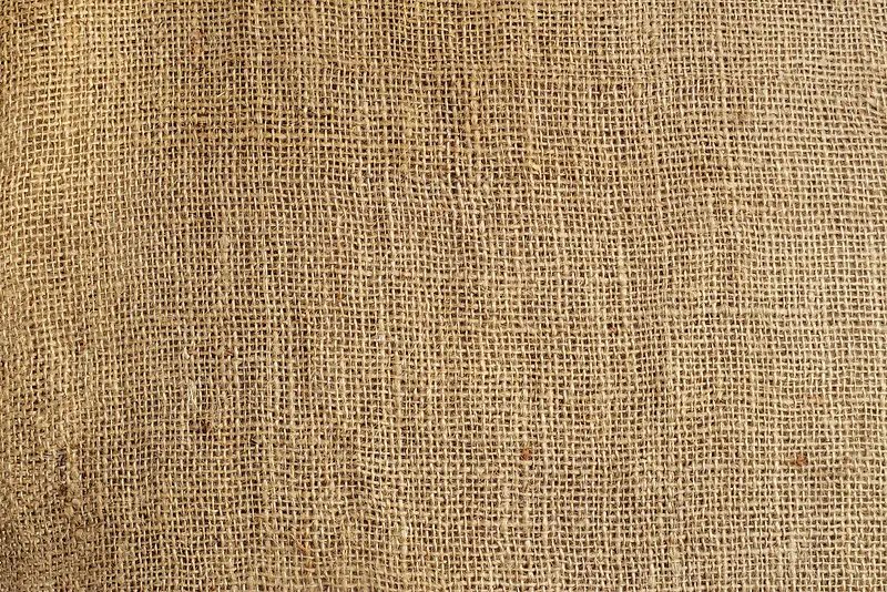 �鲼��������-������