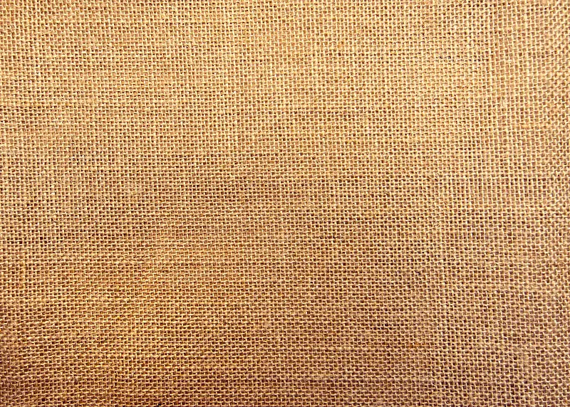 �鲼����-������