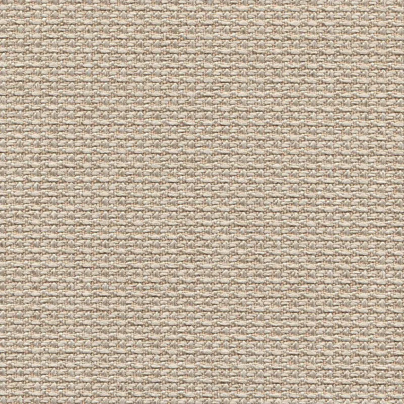 ���Ʊ���-������