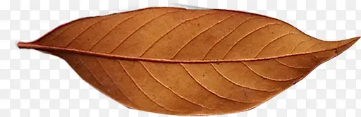 ����Ҷ�ӿ��Ⱥ���-������