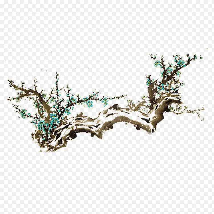 �ɿ���֦��ɫ÷��-������