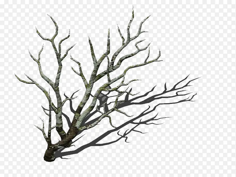 ������֦-������