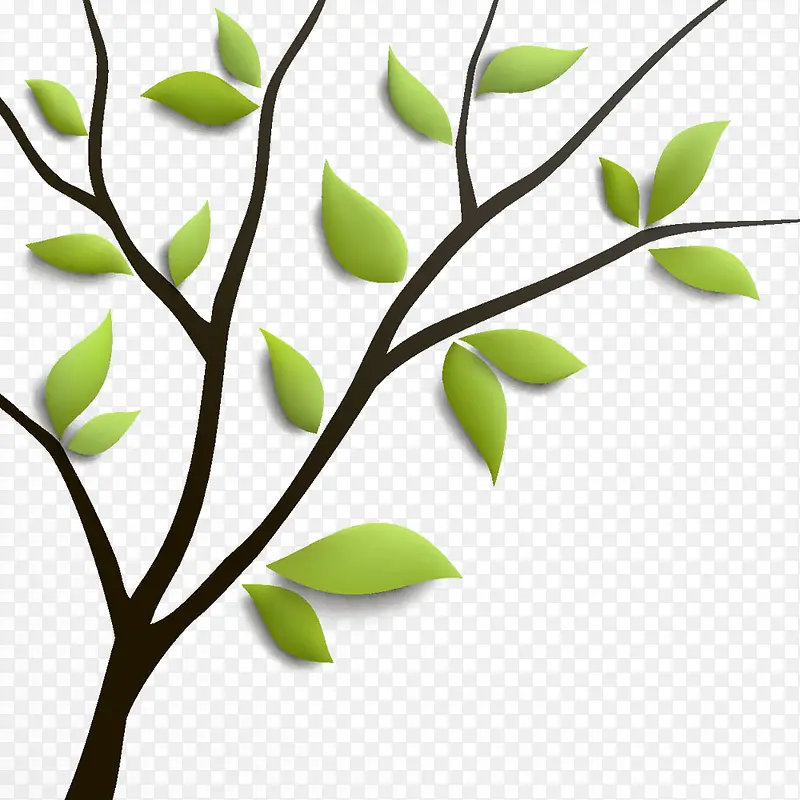 ����ǽ����֦-������