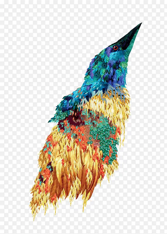 ��ɫӥ-������