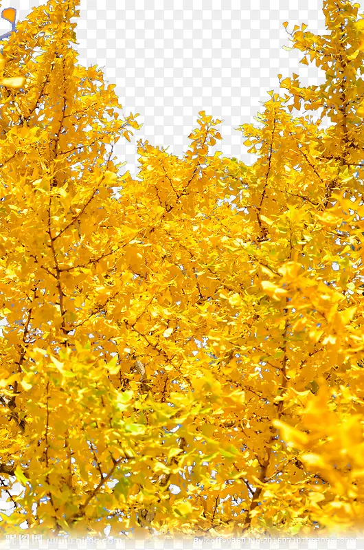 ������-������