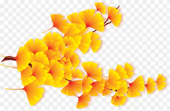 Ψ��������֦��Ҷ����Ҷ��Ҷ-������