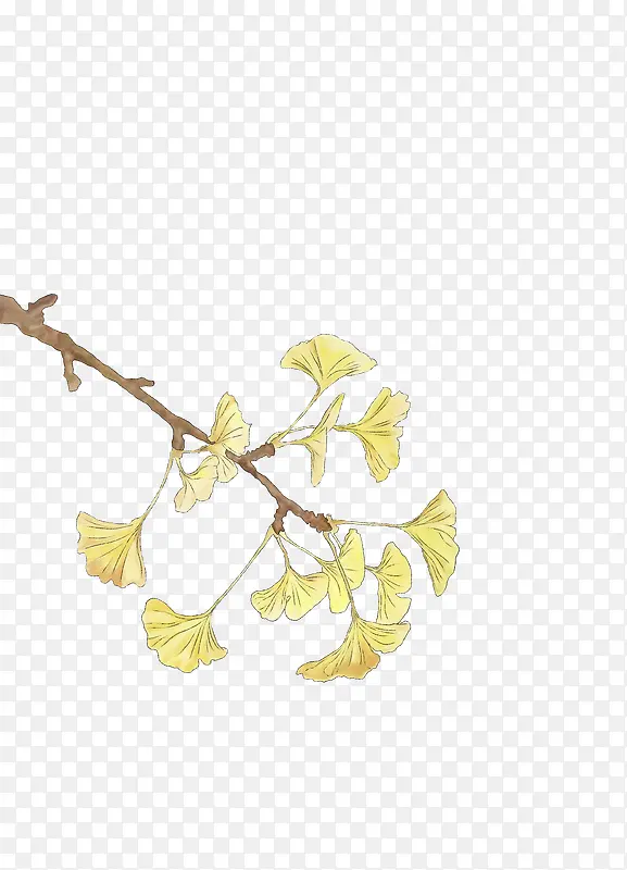 �ֻ���֦����Ҷ-������