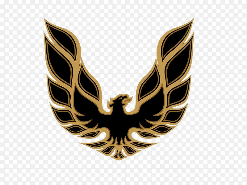 ��ӥ��־-������