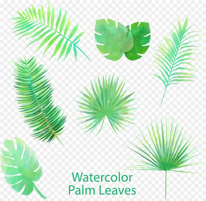 7����ɫ�ȴ�ֲ��Ҷ��ʸ���ز�-������