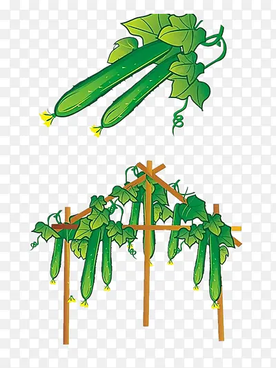 ��ͨ�ƹ�-������