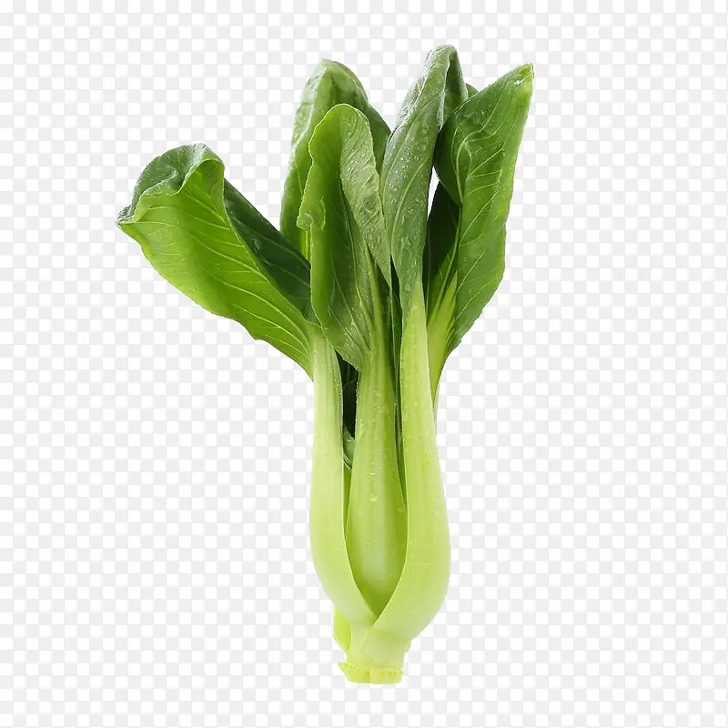 �߲�-������