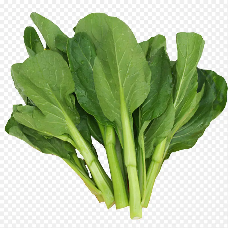 �߲�-������