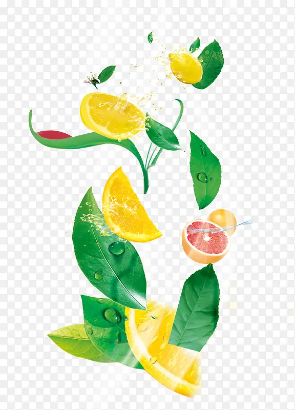 ˮ��Ҷ��-������