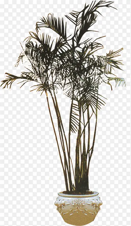 һ�ŷ�����-������