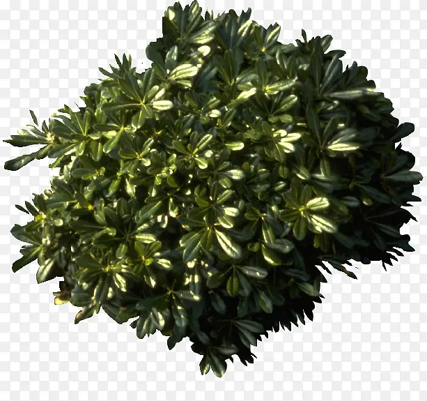 ������Ʒ羰��������-������