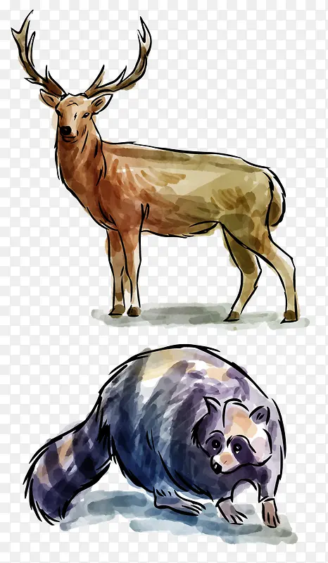 �ʻ�Ұ������-������