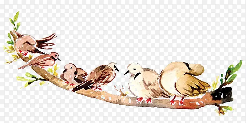 ��֦�ϵ�С��-������