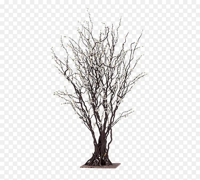 ��֦-������