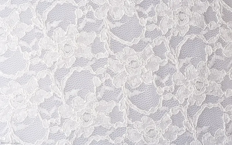 ��ɫ��˿����������Ӱ-������