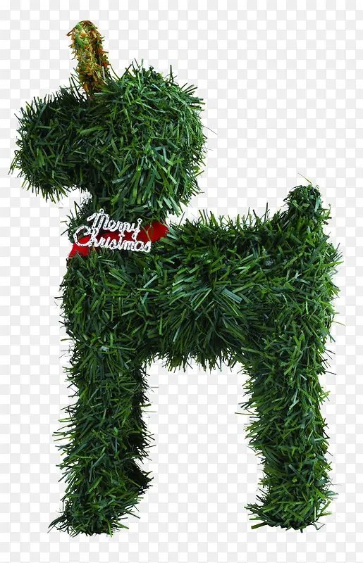 ʥ����װ��ͼ��-������