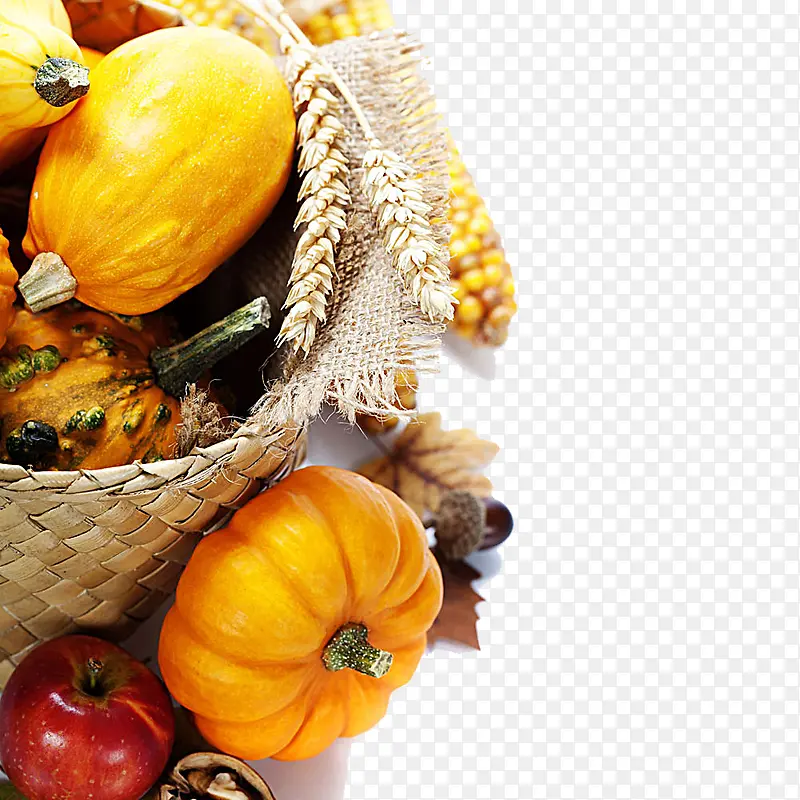 ˮ���ز�-������