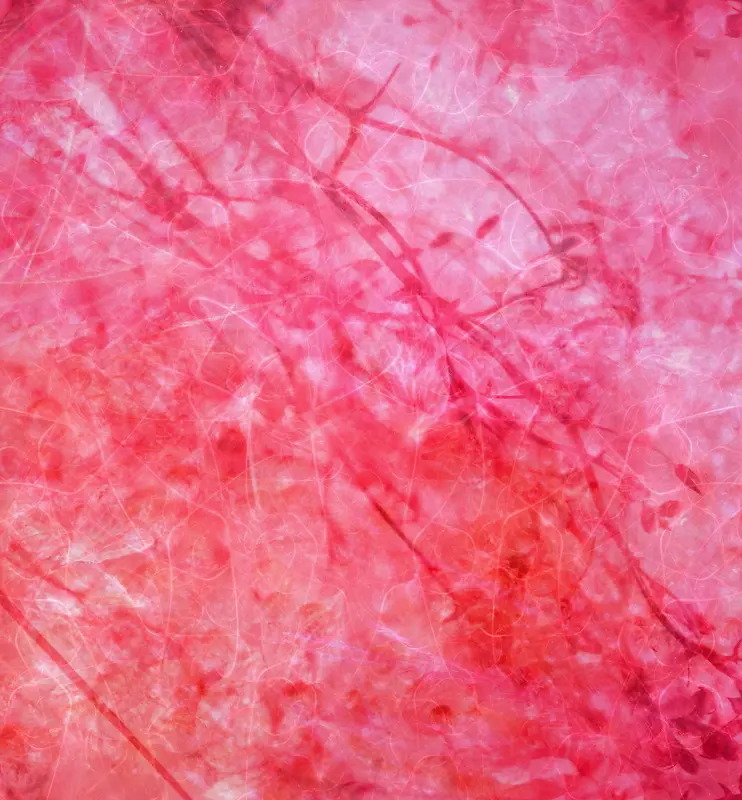 ��ɫ����ʯ����-������