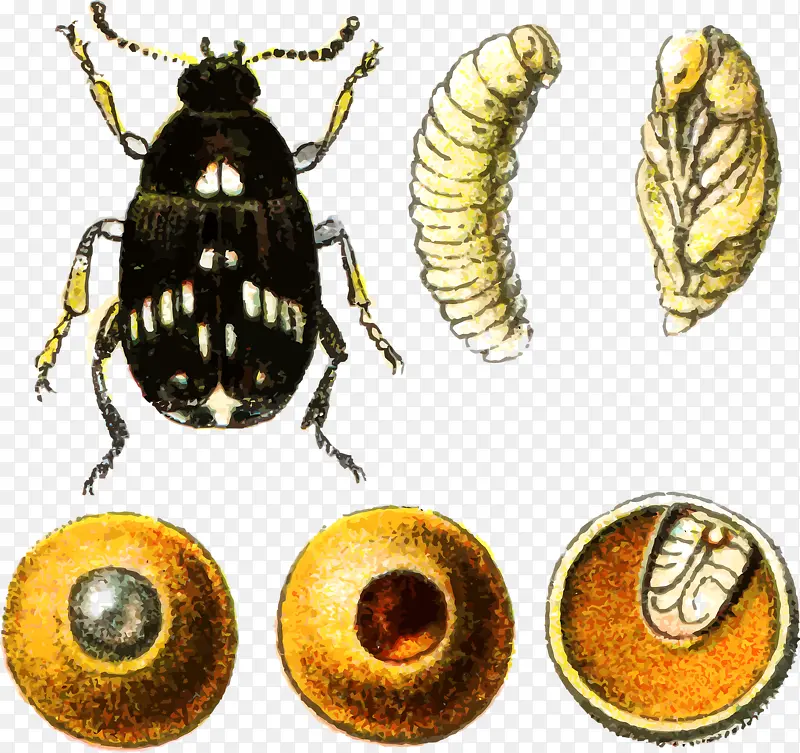 ���ӵ���������-������