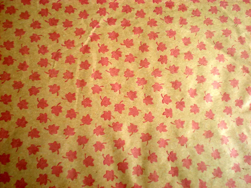 ��Ҷ����ͼ��-������