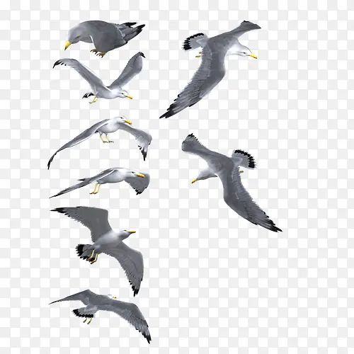 ������ͼ-������