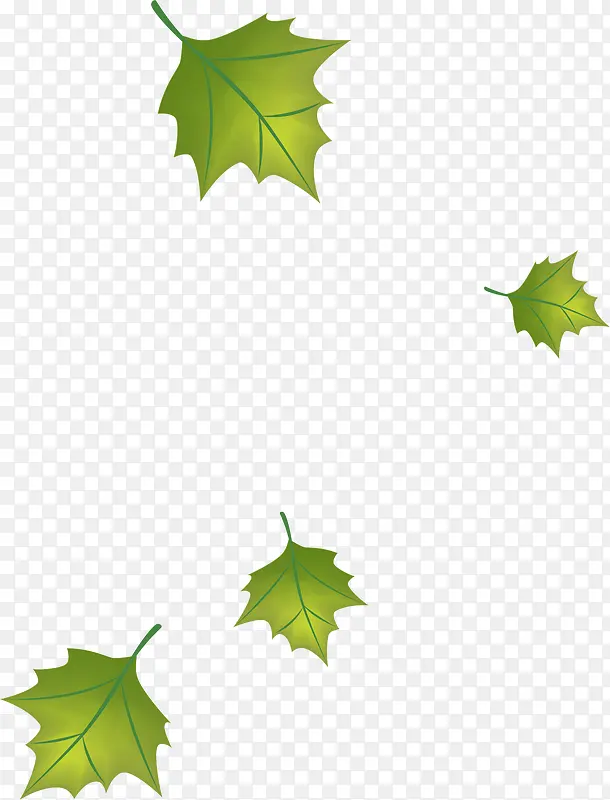 ��ɫ��ҶƯ��-������