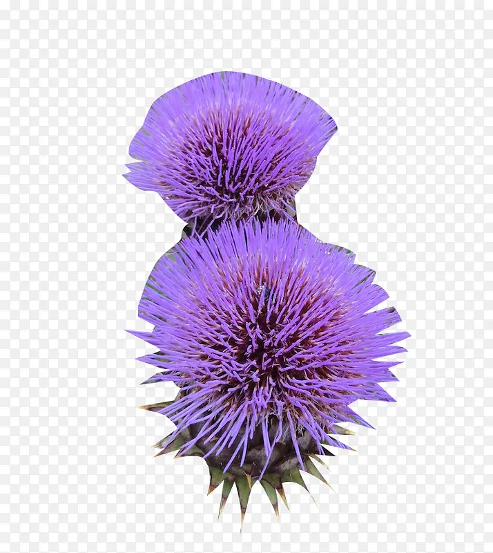 �̼���ֲ��ͼƬ�ز�-������