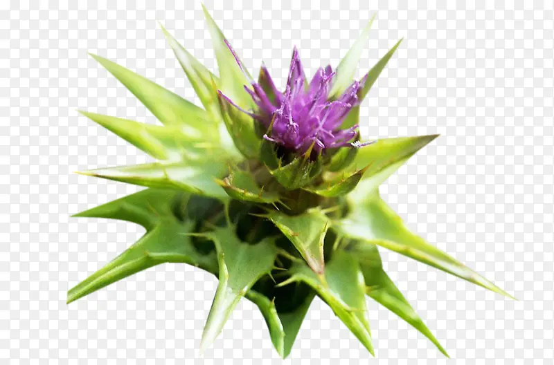 �̼���С��ͼƬ�ز�-������