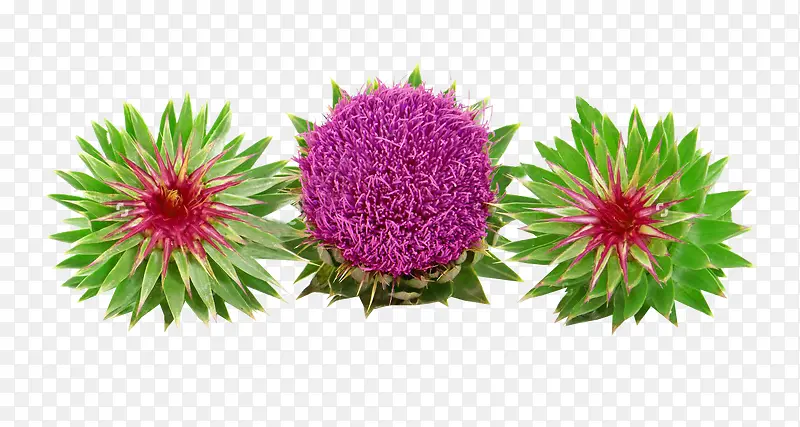 �����̼���ͼƬ�ز�-������